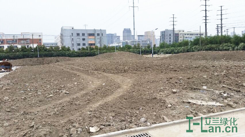 地形平坦